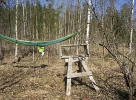 hammock at Beyondbuckthorns
