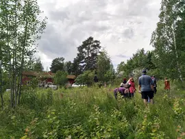  Introduction to Permaculture course at Beyond Buckthorns in July 2024