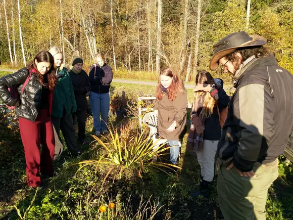 Peek into permaculture in Helsinki course