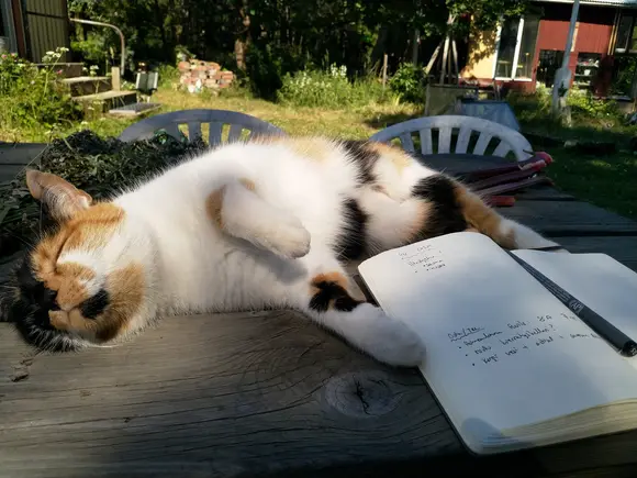 Miss Sophie