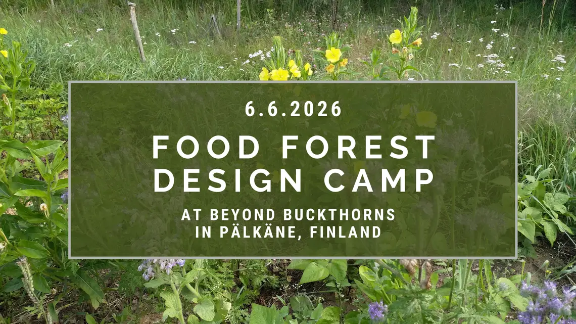 Foodforest DesignCamp 2026