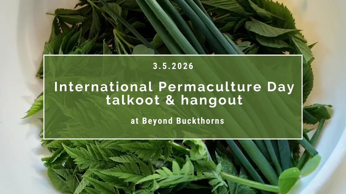 International Permaculture Day Talkoot