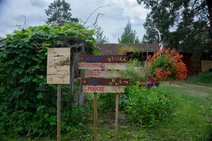 Signs at the permaculture homestead