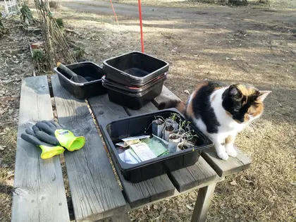 Gardening