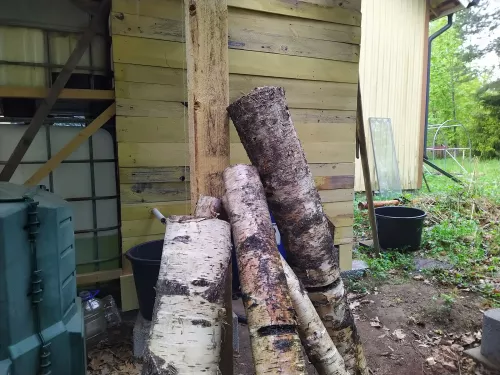 Mushroom logs after inoculation