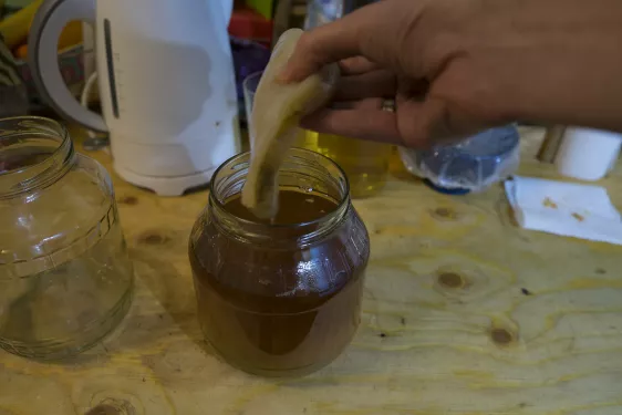 07 - putting the scoby in (hands washed)