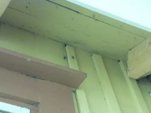 A hole needs to be drilled next to a wasp hive