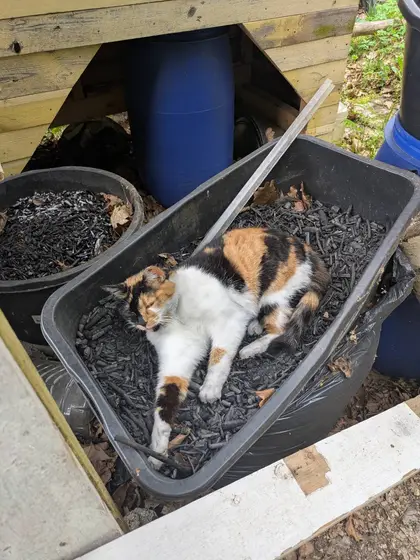 And on biochar :D