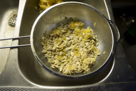 Zucchini seeds on a sieve in order to remove the remaining flesh