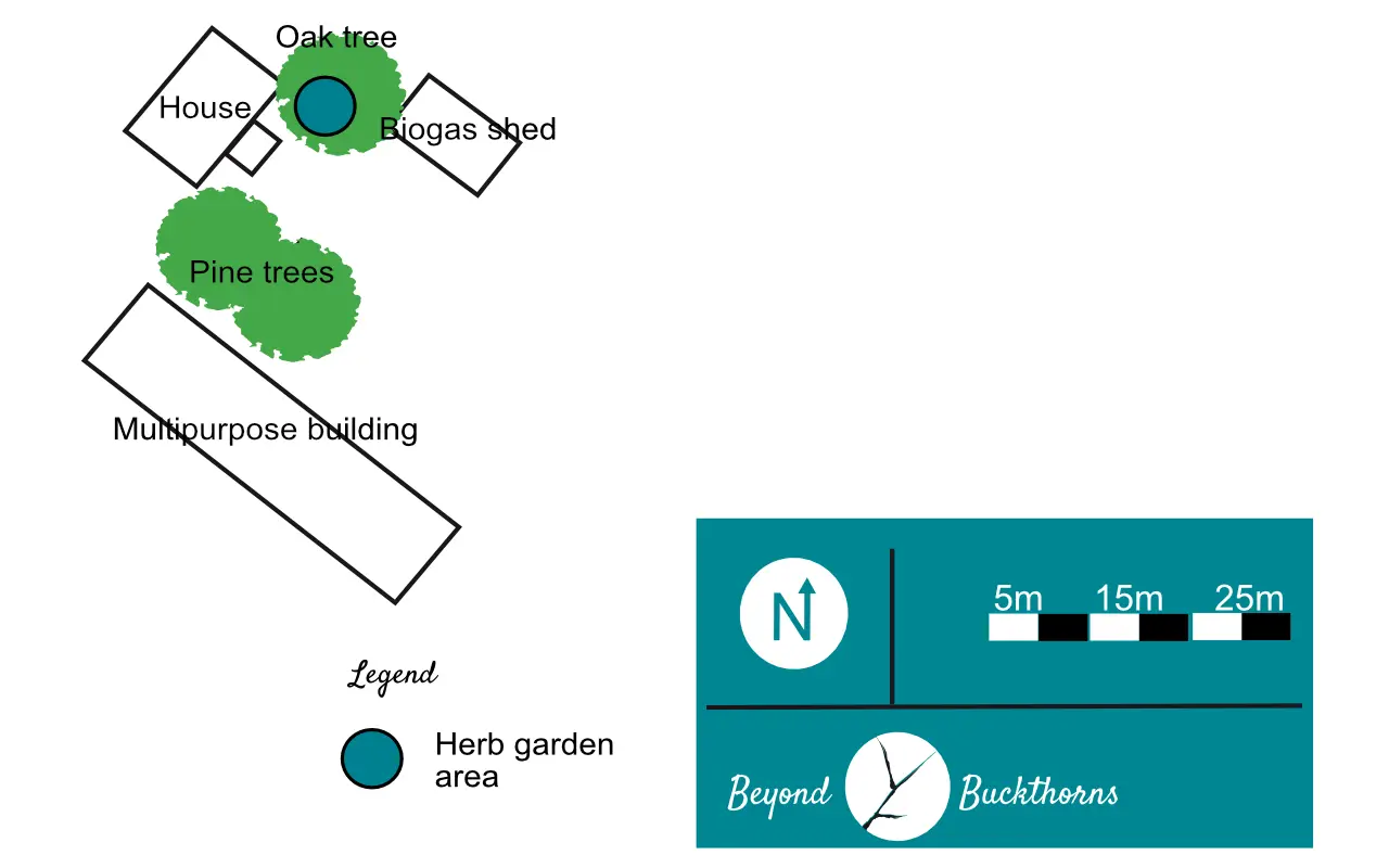 Map 1: Relative location of the planned herb garden area to the main buildings and major trees in the yard. 