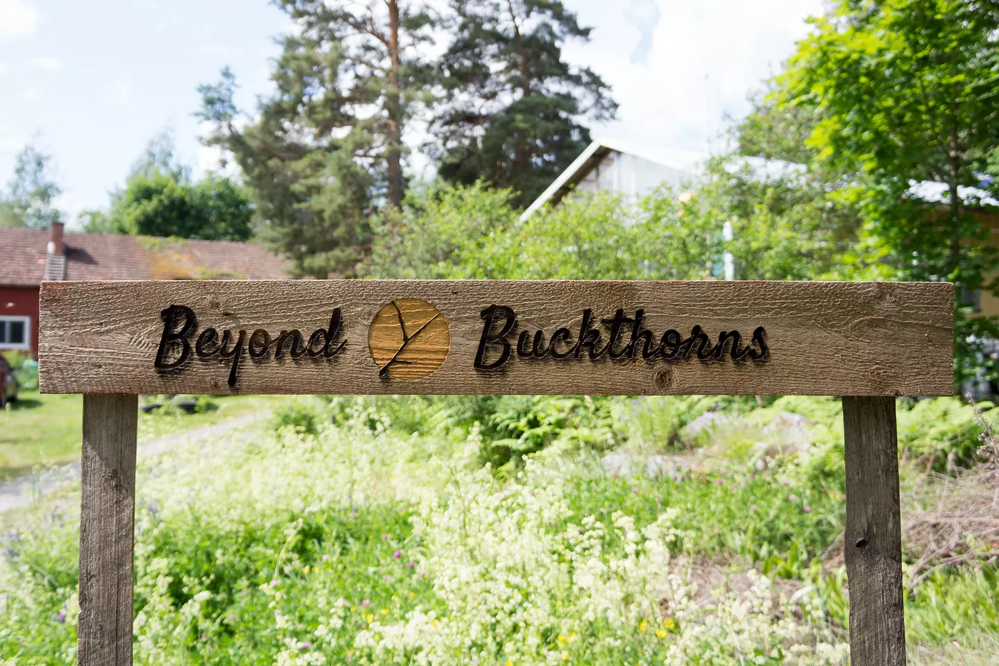 Entrance sign - Beyond Buckthorns permaculture