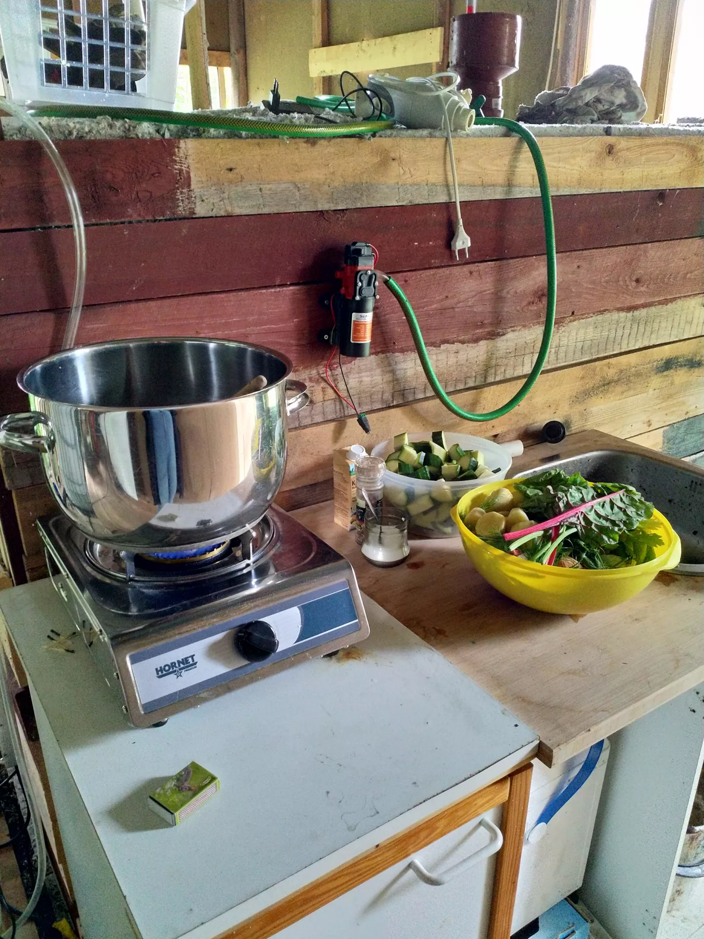 food from the garden cooked on biogas