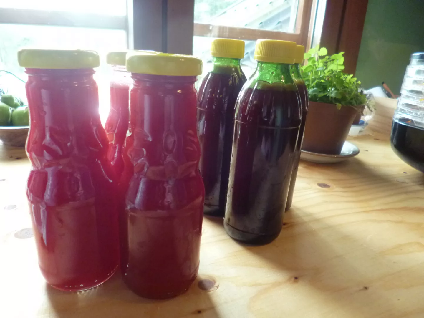 Finished & botteled lingonberry juice