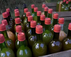 Organic apple juice made in Finland