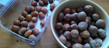 Photo of hazelnut varieties for Germany
