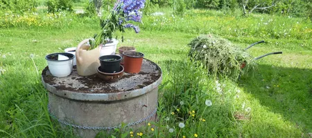 Herbs in pots and grass mulch