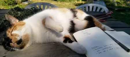 Miss Sophie
